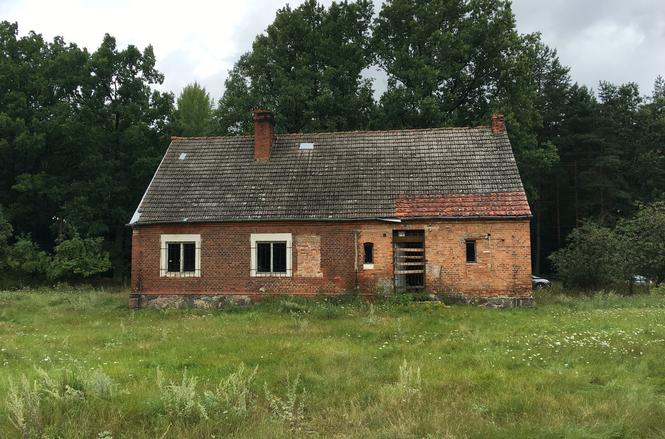 zdjęcie w konkursie Remont roku